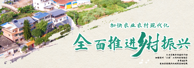 数字乡村建设赋能乡村全面振兴